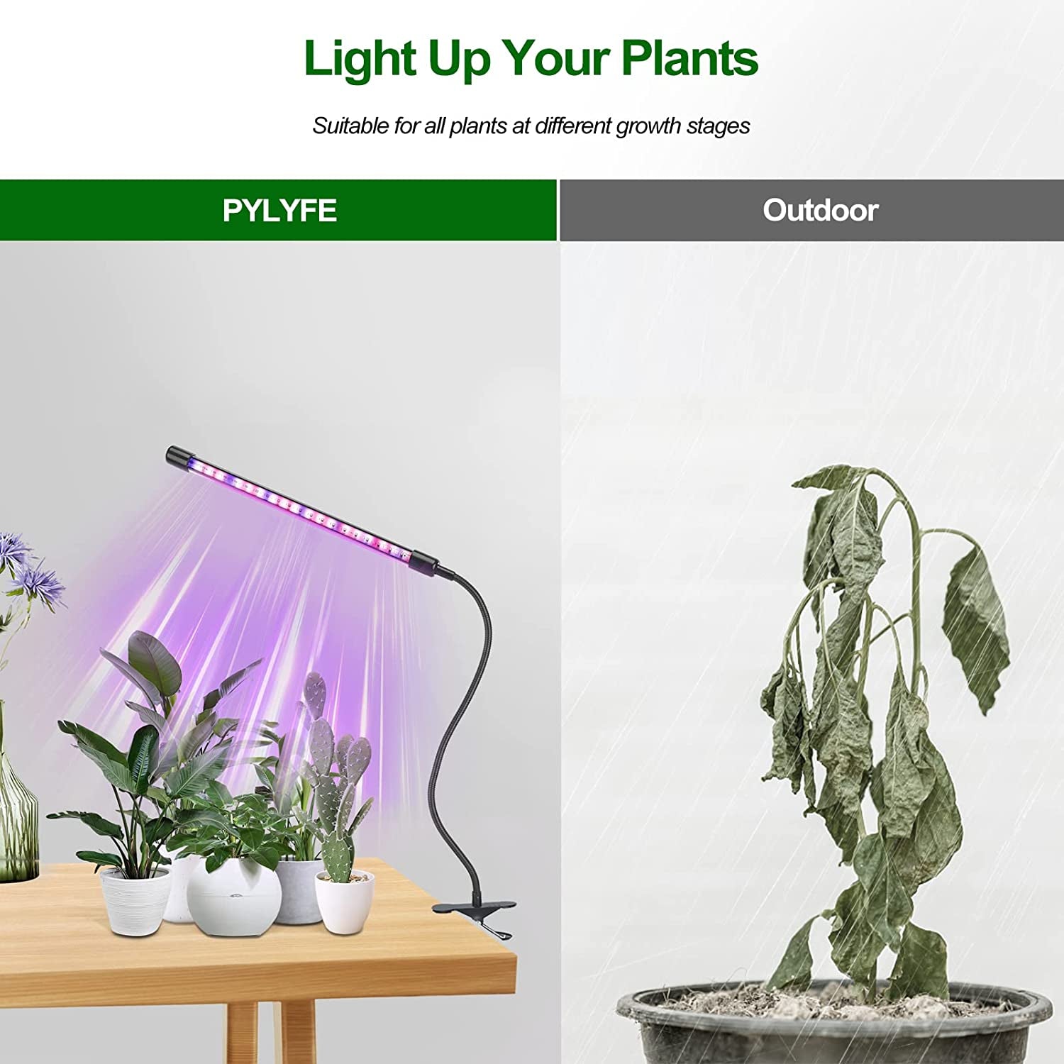 Plant Lights for Indoor Growing Full-Spectrum - Grow Light for Indoor Plants - UV LED Lamp with Timer & Clip：Professional for Plants Growth: Extra Bright & 9" Lamp