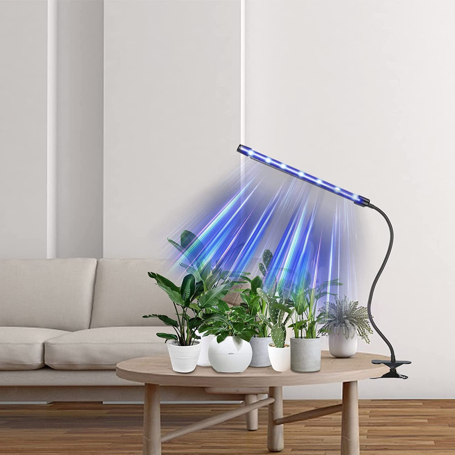 Plant Lights for Indoor Growing Full-Spectrum - Grow Light for Indoor Plants - UV LED Lamp with Timer & Clip：Professional for Plants Growth: Extra Bright & 9" Lamp